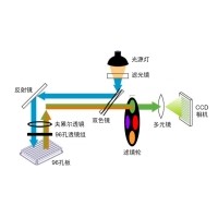 什么是熒光定量PCR、數(shù)字PCR？