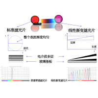 線性漸變?yōu)V光片是什么？有何特點(diǎn)？